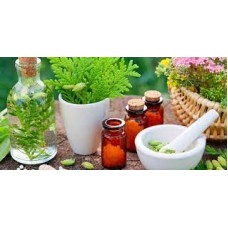 Homeopathic Plants with Dr Jan Melia Sunday 2nd October 2022